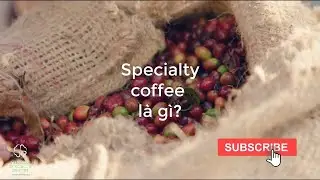 Specialty Coffee là gì?