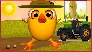El Pollito Pío - Farm Songs