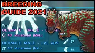 Ark Breeding Guide | COMPLETE Ark Guide | Upgrade With Mutagen & Breeding for ULTIMATE Stats!