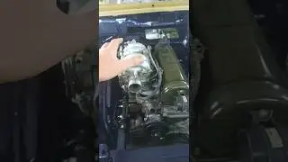 СТРОЮ НОВУЮ НИВУ! #shorts