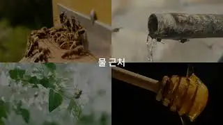 양봉하는 방법Beekeeping Basics and Setup 1