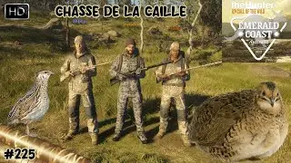 THEHUNTER CALL OF THE WILD CHASSE À LA CAILLE ! #225 SUR LA MAP - EMERALD COAST AUSTRALIA !