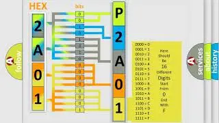 DTC Suzuki P2A01 Short Explanation