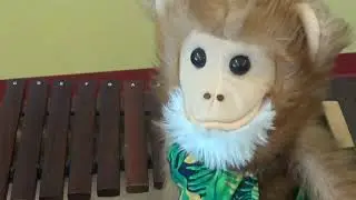 Mimi the Monkey and the Spaces of the Treble Clef