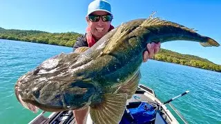 Catching 🐊HUGE FLATHEAD🐊fishing the flats