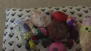 Homemade Squishy update #2! Deco, memory foam, paper, and more!