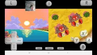 Voltage Plays Pokemon Mystery Dungeon Explorers of Sky: Phanpy?