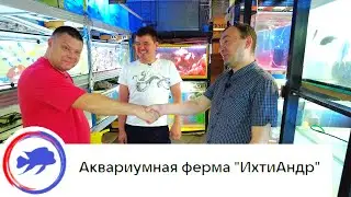 Аквариумная ферма ИхтиАндр г.Ростов-на-Дону