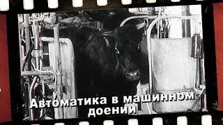 АВТОМАТИКА В МАШИННОМ ДОЕНИИ. Часть 2