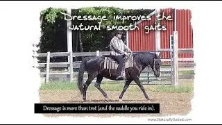 Dressage Improves the Natural Smooth Gait of Gaited Horses#GaitedHorse #DressageIsMoreThanTrot