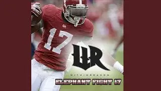 Within Reason - Elephant Fight 17