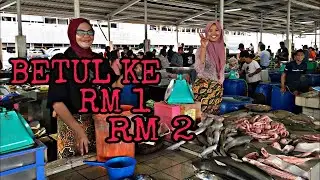 PASAR IKAN SAFMA PHILIPPINES 🇵🇭  KOTA KINABALU HARGA IKAN MURAH