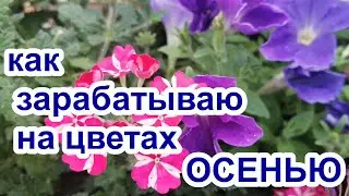 КАК , ПОЧЕМ ТОРГУЮ ,  ЦВЕТЫ ПРОДАЖА