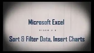 Microsoft Excel #6 - Sort & Filter Data, Insert Charts