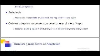 Atrophy pathology