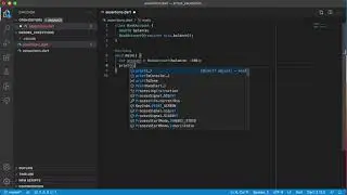 Dart Errors and Exceptions - Assertions