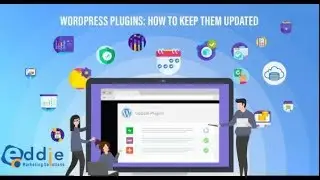 How To Update Plugins In WordPress - How To Update A WordPress Plugin  Update WP Plugins