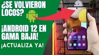😲👉ANDROID 12 ¡Llega en DICIEMBRE a Samsung con One UI 4! ¡CUALQUIER MODELO Actualiza!