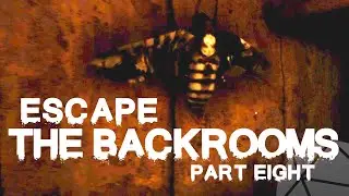 Escape The Backrooms #8 | 