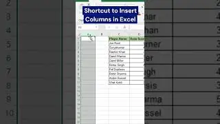 Shortcut to insert column #interview #excel #exceljobinterview #exceltips #yt #ytshorts #exceltricks