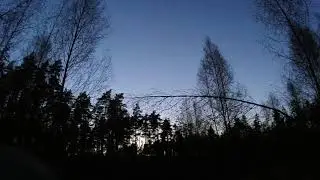 Вальдшнепа на манок