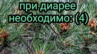При диарее необходимо:4 Как лечить диарею (понос) Лекарственные травы и растения. Народная медицина.