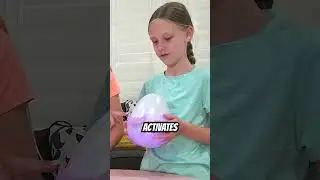 Hatchimals are Coming Back!!