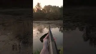 Охота на утку