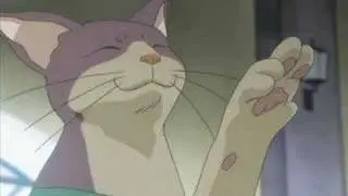Kitty cat dance!