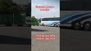 тошкент Москва Узбекистан Автобус 