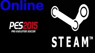 play Pro 2015 Online