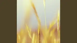Stimmungen, Sentimentale