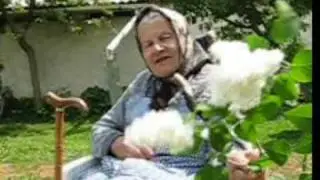 Sreo koku miš