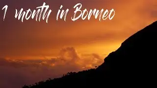 An Adventure in Borneo - Travel Cinematic Movie