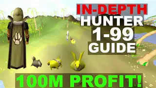 1-99 Hunter guide | Oldschool Runescape OSRS