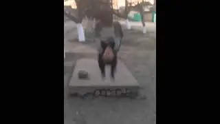 Заднее сальто