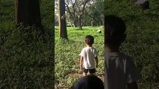 Nyari kucing apa nyari belalang