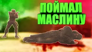 СТАЛКЕР ШАЛЬНАЯ МАСЛИНА | МЛЯ, Я МАСЛИНУ ПОЙМАЛ