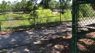 Ducks at Deland High School 4/27/2020