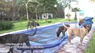 Posada del Griego