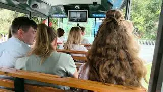 Поездка на паровозе в центре буддизма Наньшань