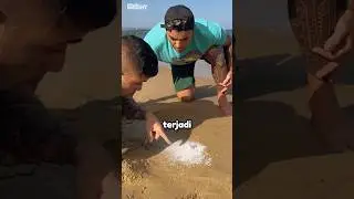 You Won't Believe What They Found on the Beach 😱 (cred: @wuesilva)