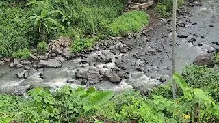 Relaxing River Sounds for Deep Sleep 🌿 ASMR Water Flow, Nature Ambience, Stress Relief