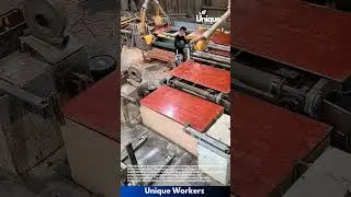 Plywood processing: the art of wood manufacturing