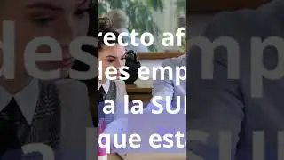¿Por qué la Sunat no cobra a las grandes empresas?: ¿Mito o verdad? #sunat #impuestos #empresas