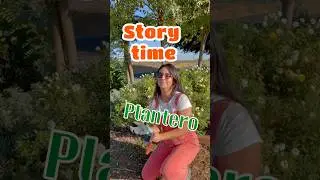 Historia de una seguidora Parte 1 #plantas #jardineriayplantas #jardin #plantlover #plantasdecasa