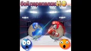 Изменения I Бой между перепелками