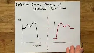 Potential Energy Diagrams for REVERSE reactions