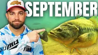 Catch BIG BASS in September!