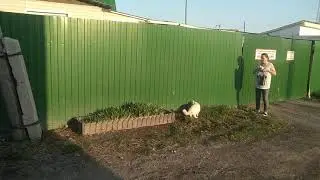 VID 20190511 060600